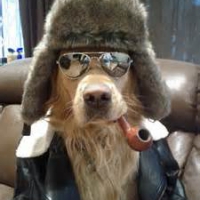 CasiPawy