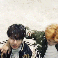 Hobi