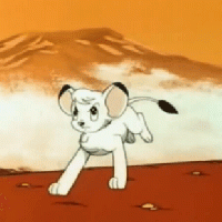 Krypto