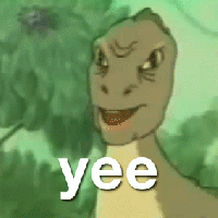 Llama