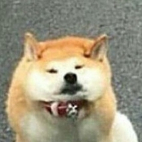 Missle