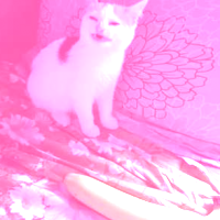 NerdyEspeon