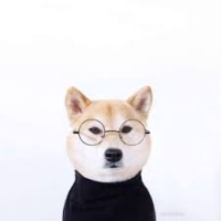 Tipzie