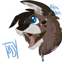 Torsy