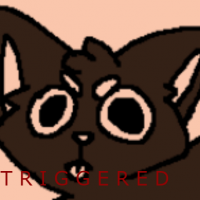 Wolfydog
