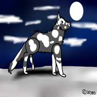 greywind