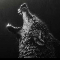 lunawolf12345