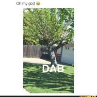 valleydog01